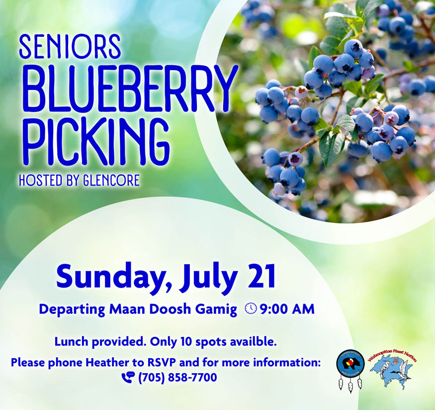 Seniors Blueberry Picking