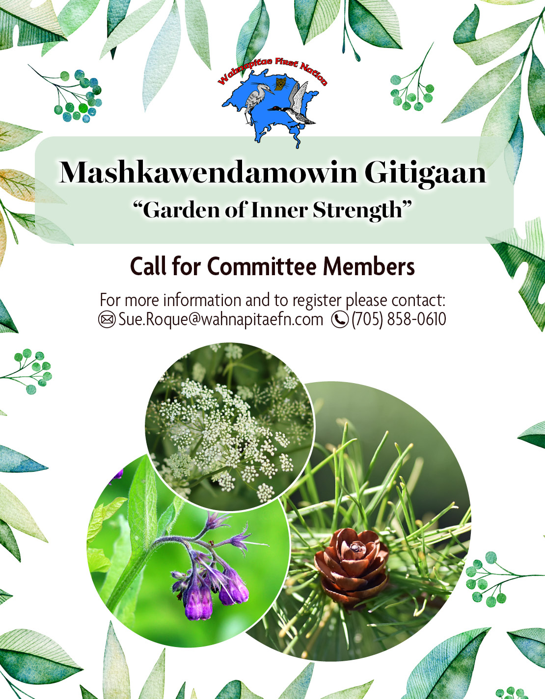 medicine garden committee callout sept2025